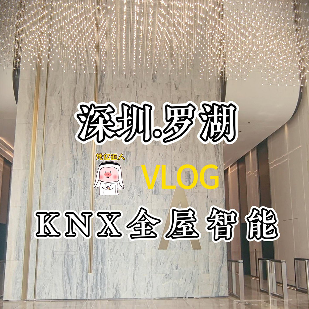 Видео KNX Whole House Intelligence Case Study для большого плоского этажа Changxing Luohu 长兴罗湖大平层KNX全屋智能案例视频